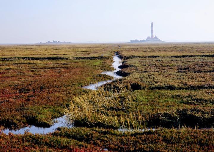 Imbiss am Deich - Westerhever bi Silke & Theo